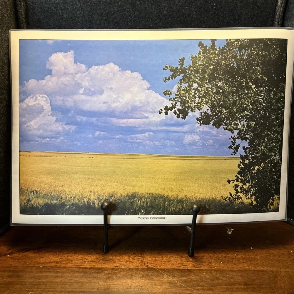 AMERICA THE BEAUTIFUL Bright Of America Reversible 6 Placemats Vtg Appx‎ 18x12